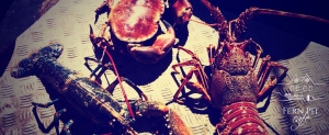 Fern Pit Crab & Lobster